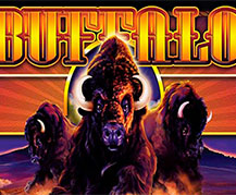 Buffalo Slot Machine Free Play Buffalo Slot Machine Free Play