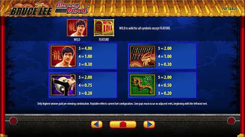 bruce lee slot paylines